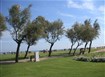 Pesaro 