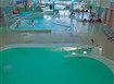 Senec-Holiday Village 