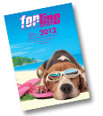 katalog