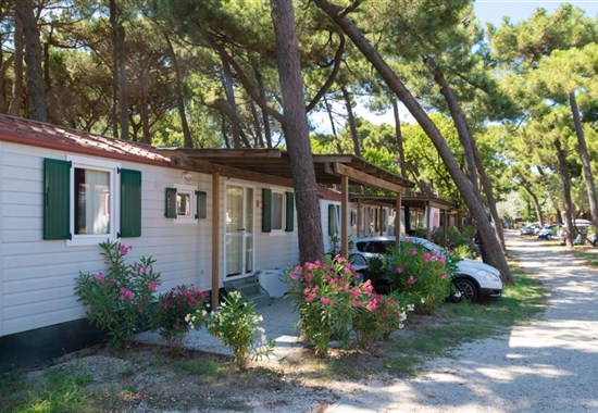 CAMPING MARE E PINETA - Lido di Spina