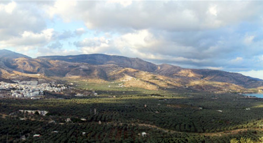 Mattinata