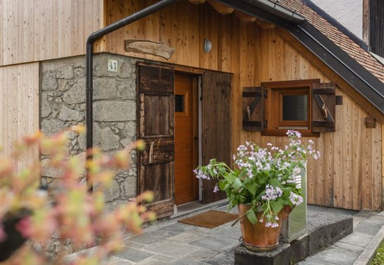 APARTMÁN STALUT MIA - Ravascletto / Zoncolan