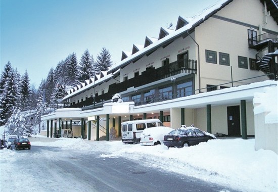 HOTEL IL CERVO - 