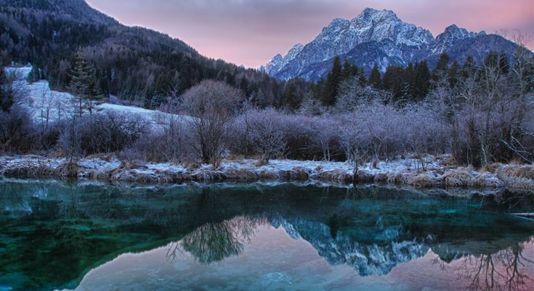 Kranjska Gora