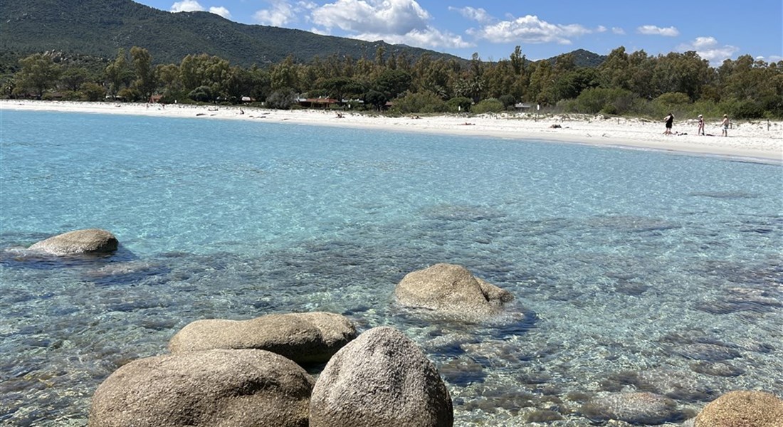 Sardinie