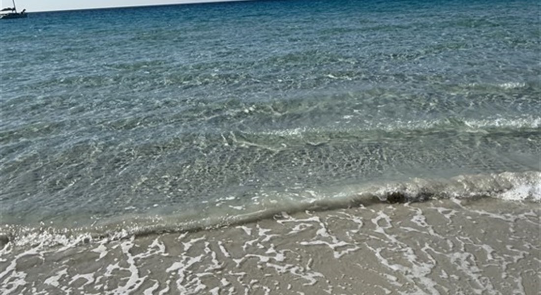 Sardinie
