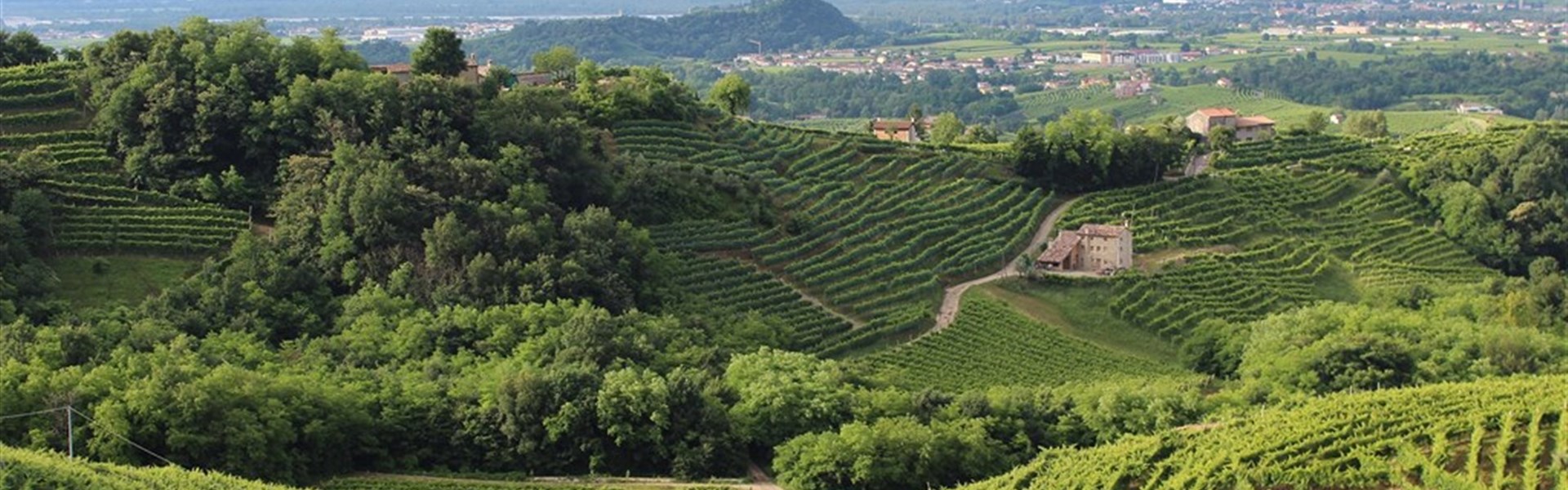 Valdobbiadene a okolí