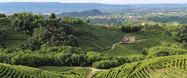 Valdobbiadene a okolí