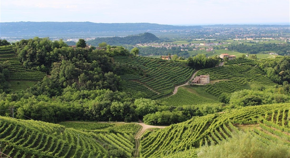 Valdobbiadene a okolí
