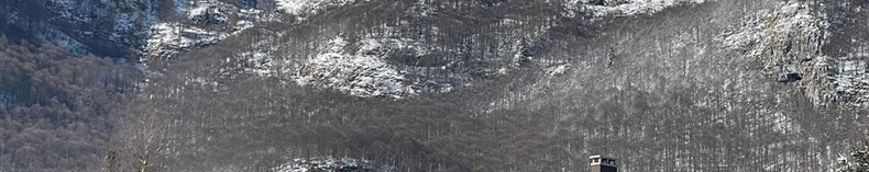IMG_06261