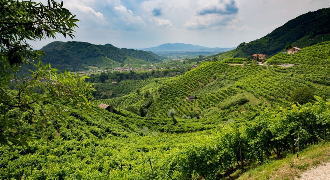 Valdobbiadene a okolí