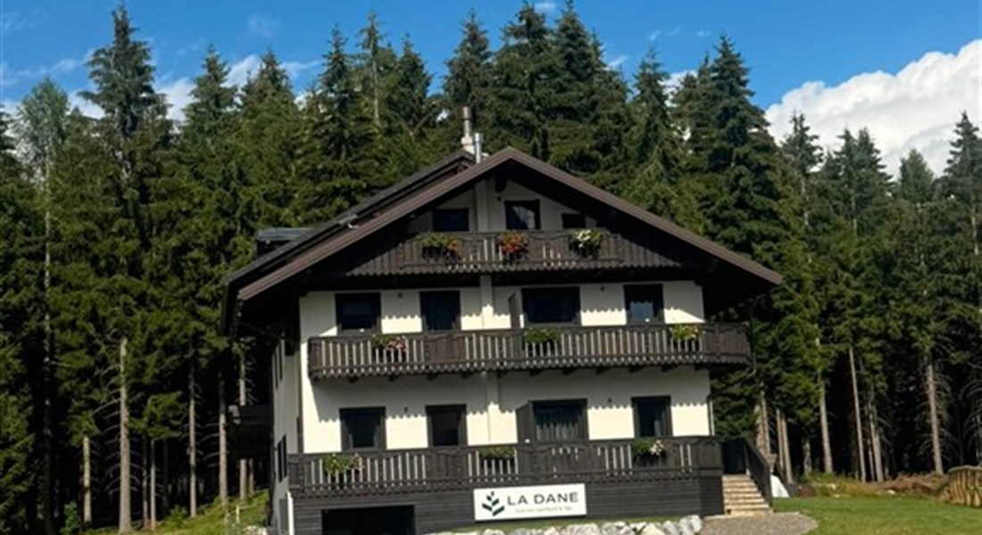 APARTHOTEL LA DANE - léto