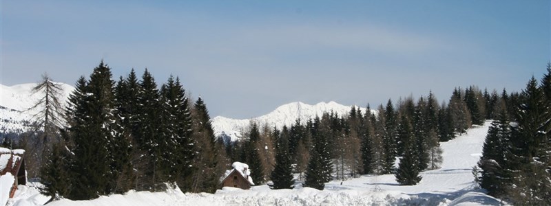 Stali di Modesto 3