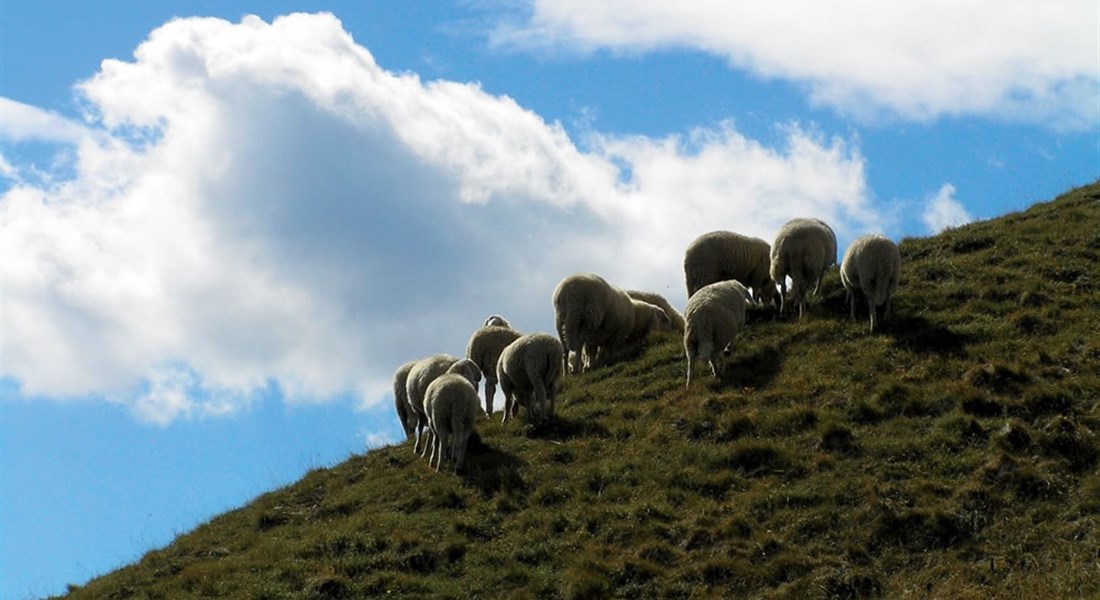 Alta Valtellina