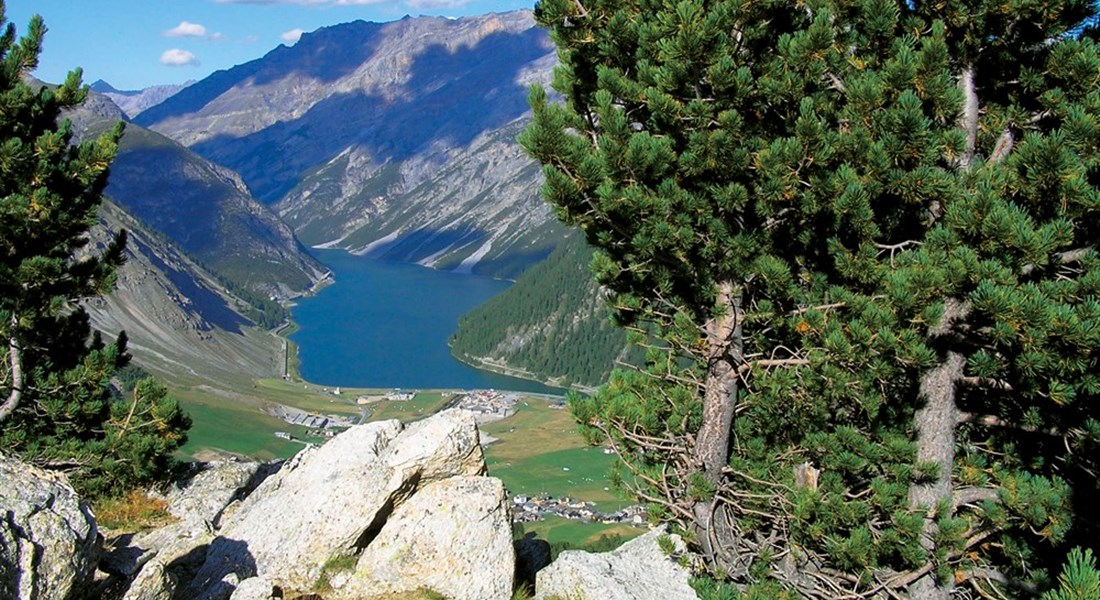 Alta Valtellina
