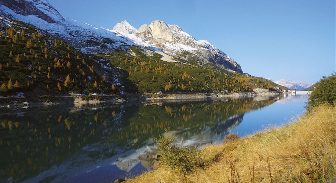 Dolomiti