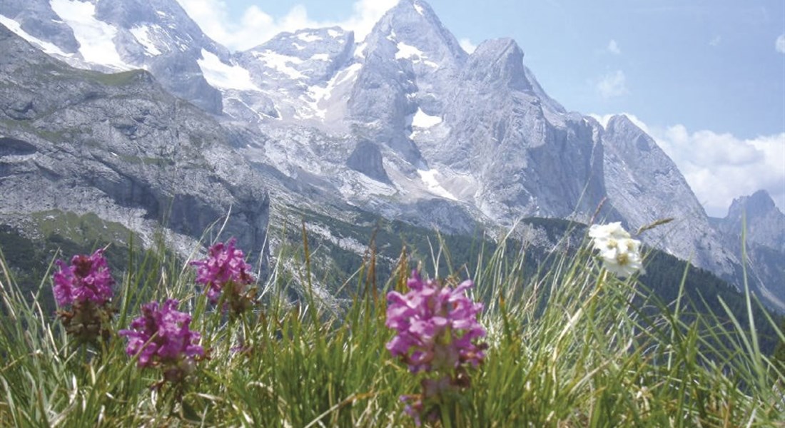 Dolomiti