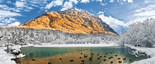 Jasna Alpinea1