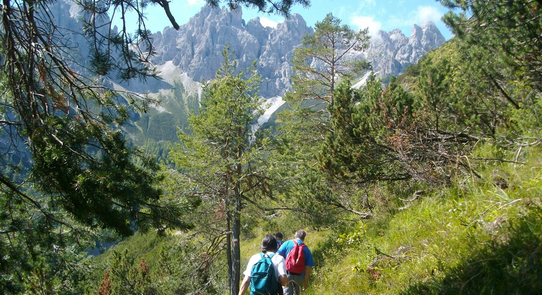 Forni di Sopra - letní Dolomity