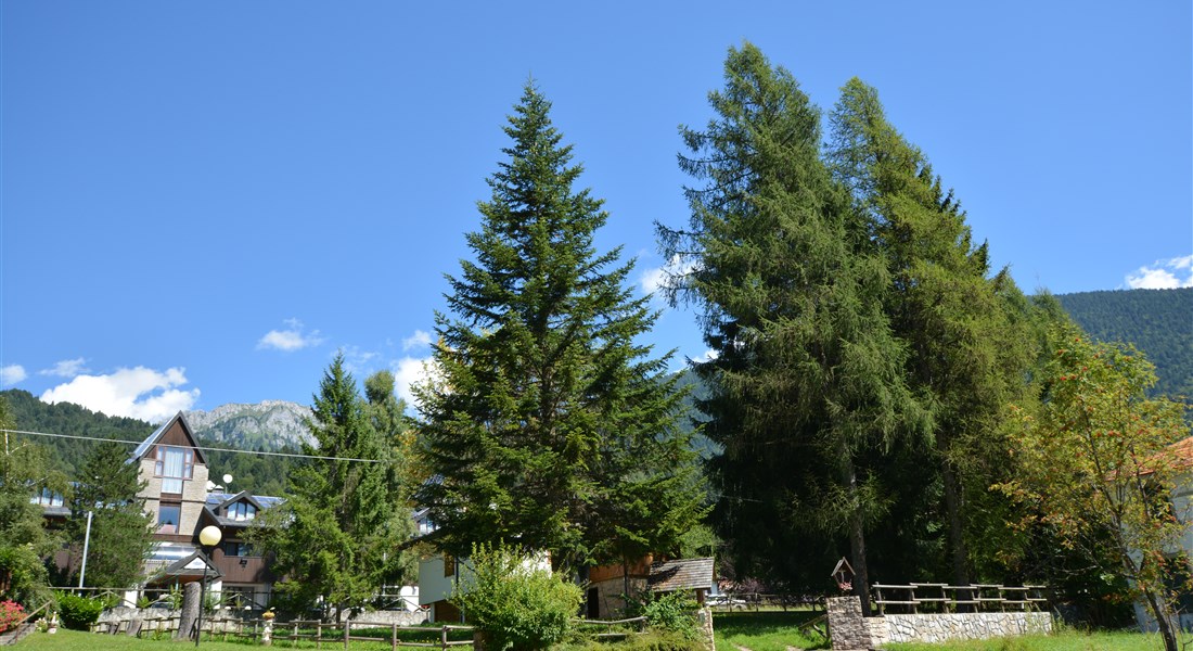 Forni di Sopra - letní Dolomity