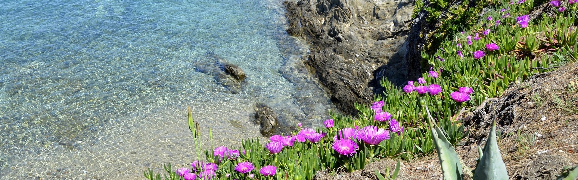 Poloostrov Chalkidiki