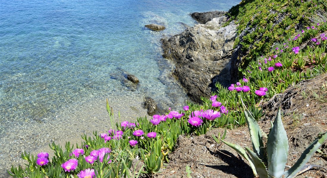 Poloostrov Chalkidiki