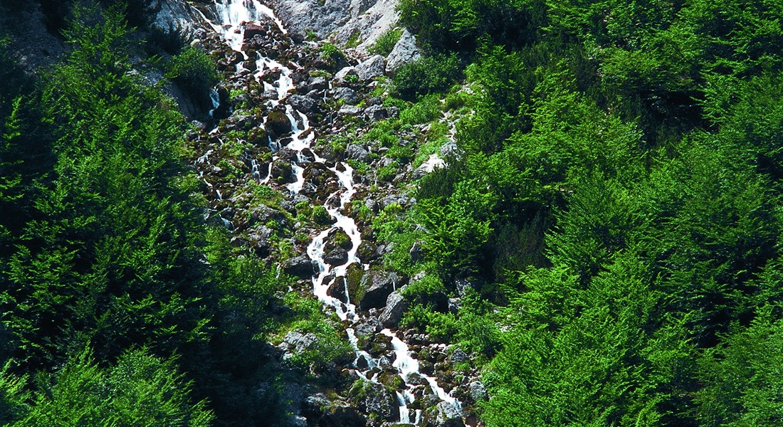 Kranjska Gora - letní Julské Alpy