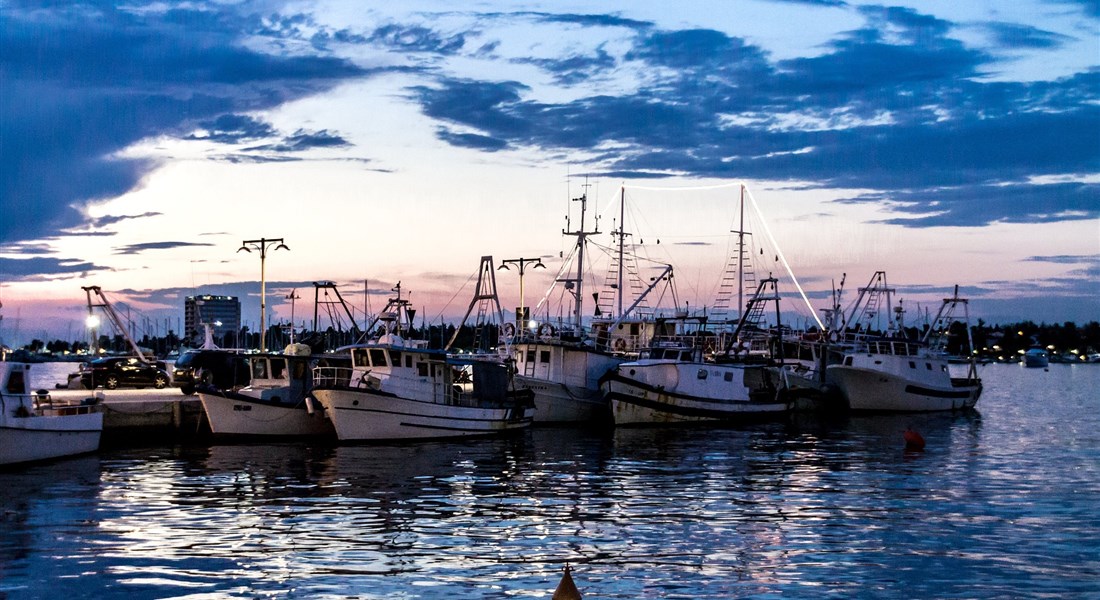 Istrie-Umag