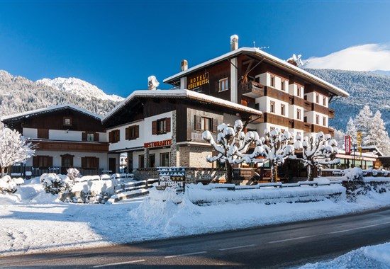 HOTEL EDELWEISS - Forni di Sopra