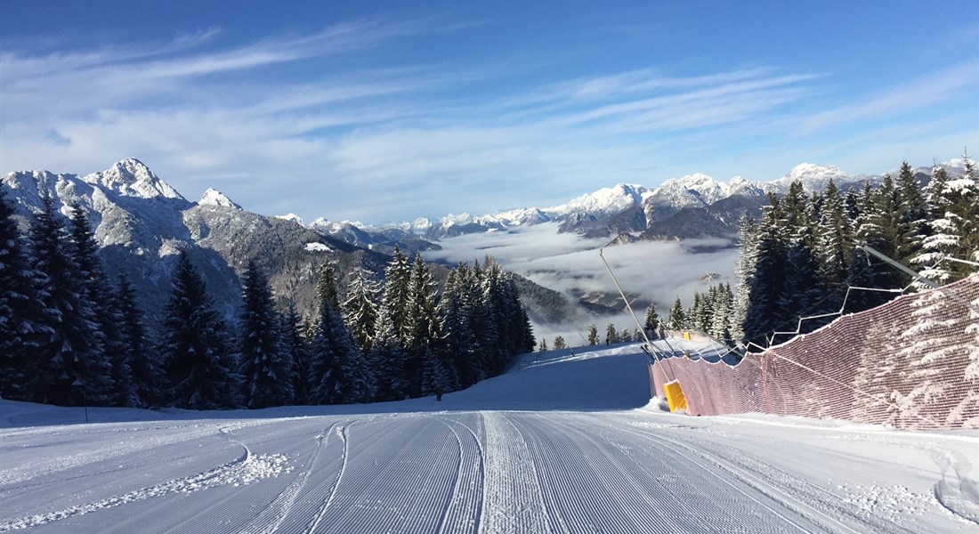 Tarvisio