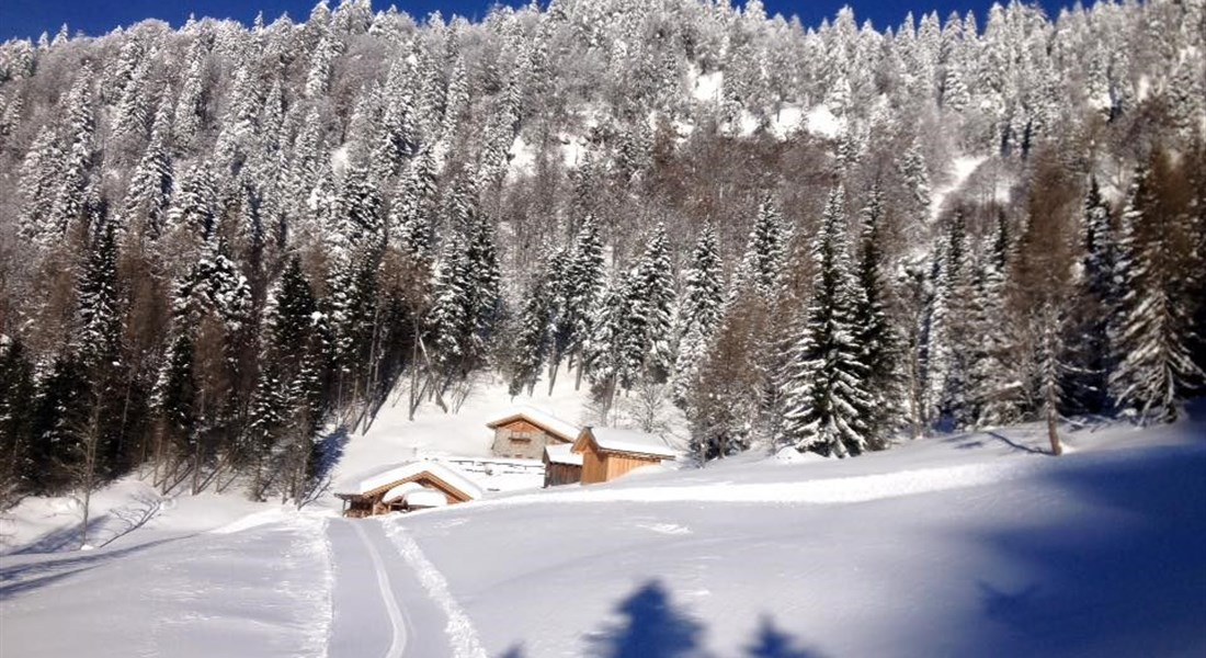 Forni di Sopra