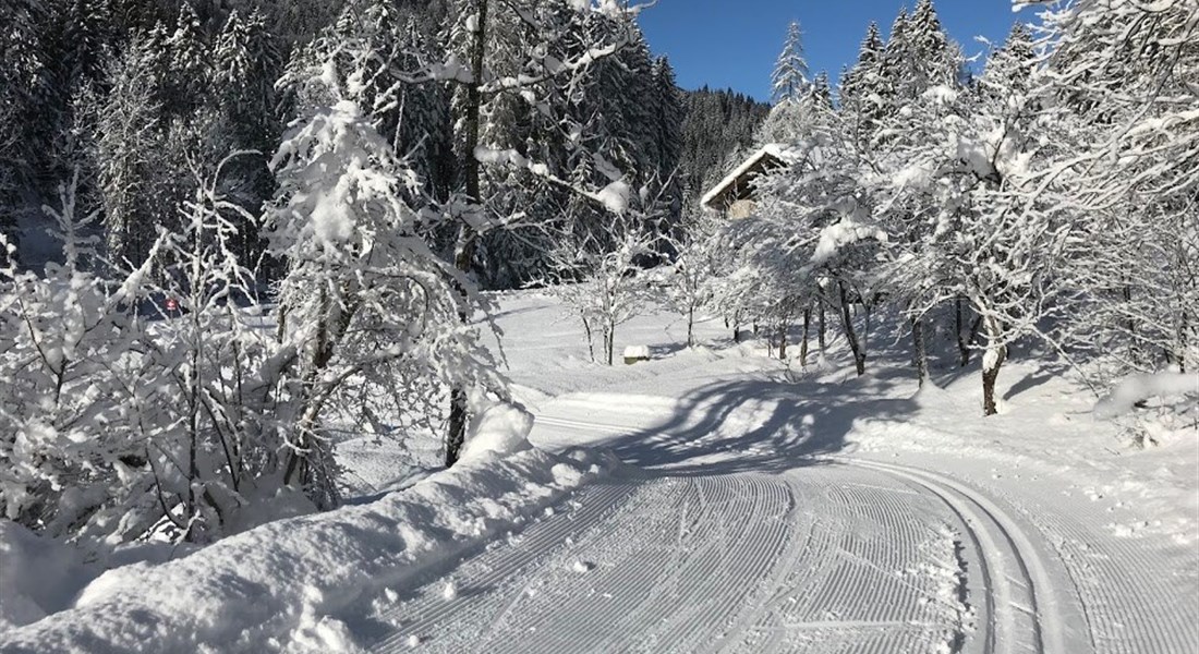 Forni di Sopra