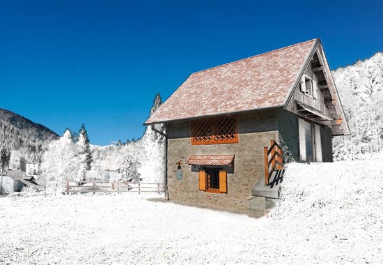 CHALET CJAMPEIS - Ravascletto / Zoncolan