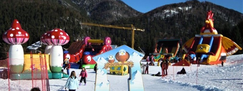 vykupto_tarvisio_w8