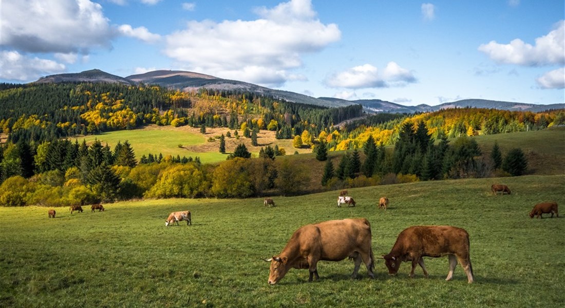 Slovensko