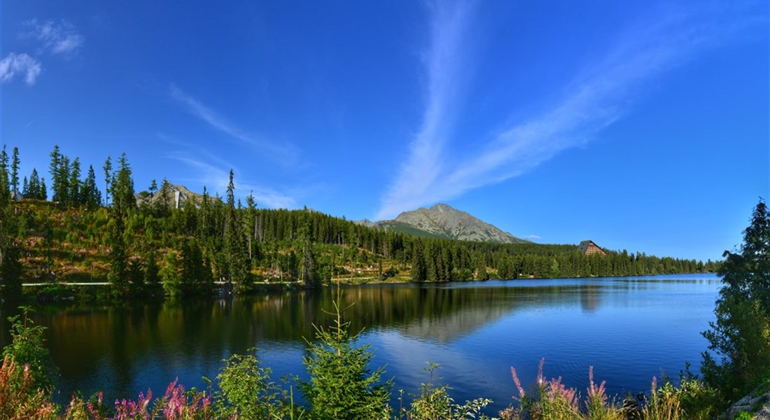 Slovensko