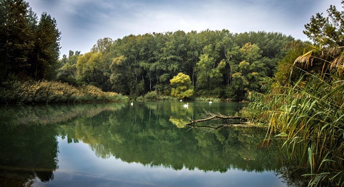 Slovensko