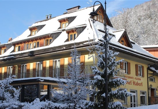 HOTEL HABERL - 